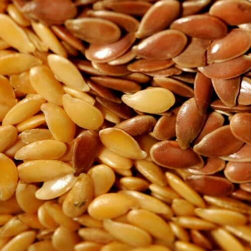 Linola-seed