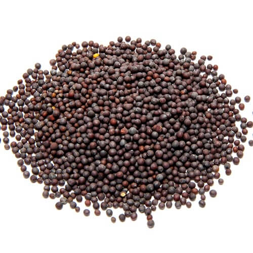 Mustard-seeds