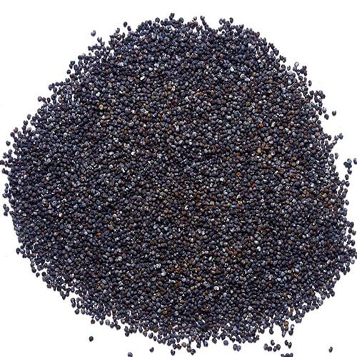 Poppy-Seed