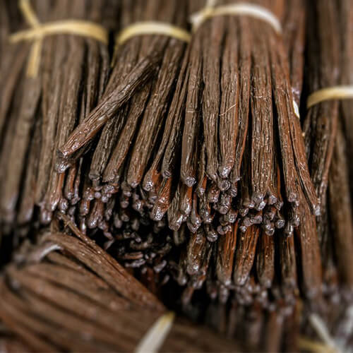 Vanilla_Beans_Whole_Madagascar_Bourbon_Bulk_Wholesale_Bundle_1024x1024